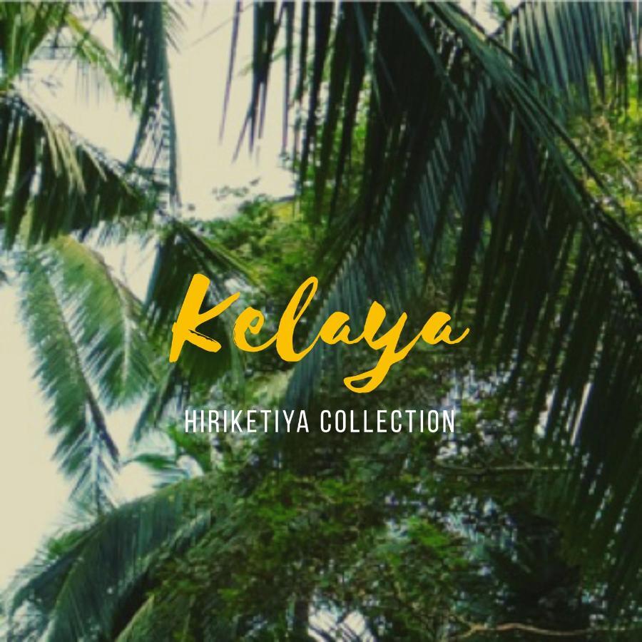 Kelaya At Hiriketiya Collection Ξενοδοχείο Dikwella Εξωτερικό φωτογραφία